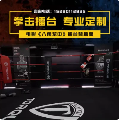 Oktagon dla MMA